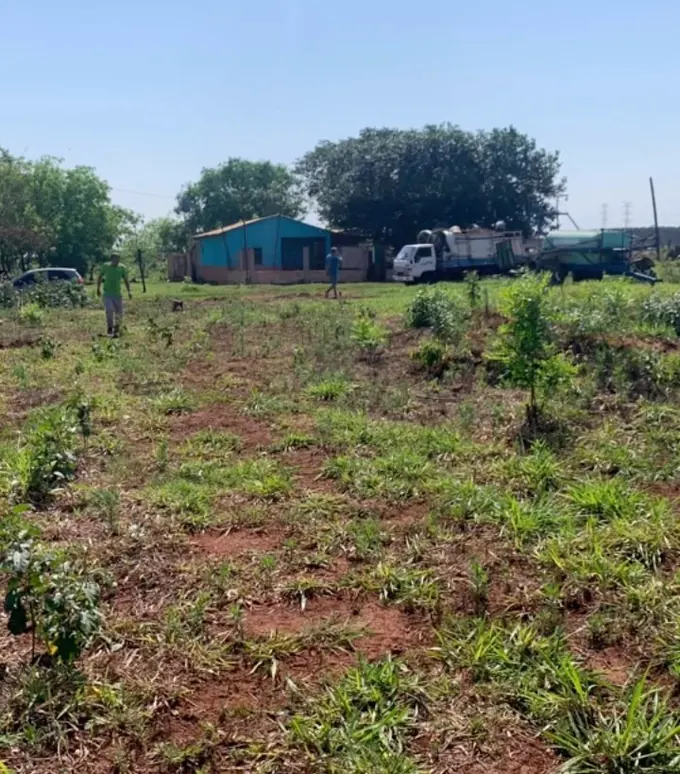 Terreno con pasto y árboles, el día que arrancó una obra nueva